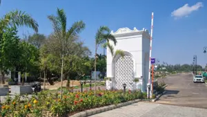 Image1