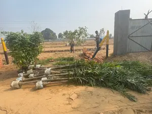 Vatika Vihar Plots