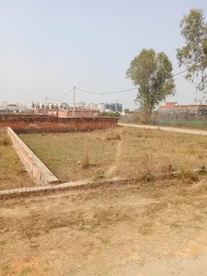 Plot Image