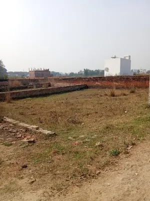 Plot