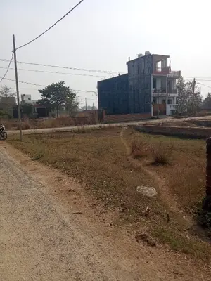 Plot