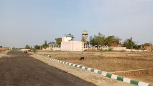 Image3