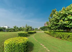 Project Actual Image2