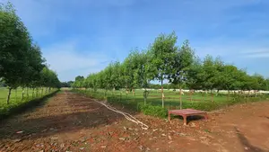 Shiv Puram