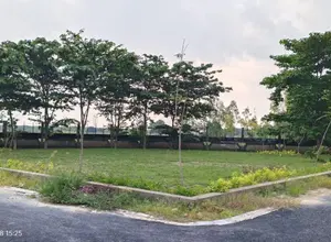 Project Actual Image5